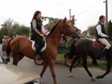 DSC00389.jpg