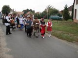 DSC00393.jpg