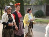 DSC00429.jpg