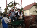 DSC00461.jpg