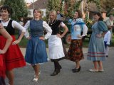 DSC00484.jpg