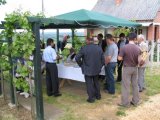 IMG_8573.jpg