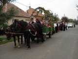DSC01529.jpg