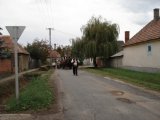 DSC02904.jpg