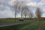 IMG_2077.JPG