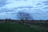 IMG_2192.JPG