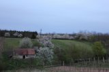 IMG_2299.JPG