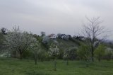 IMG_2300.jpg