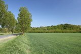 IMG_2834_kicsi.jpg