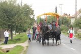 IMG_7953.jpg
