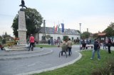 IMG_8005.jpg